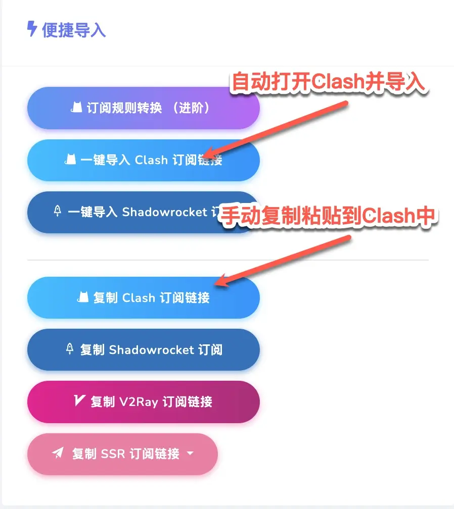 Clash Verge Rev 导入网络配置